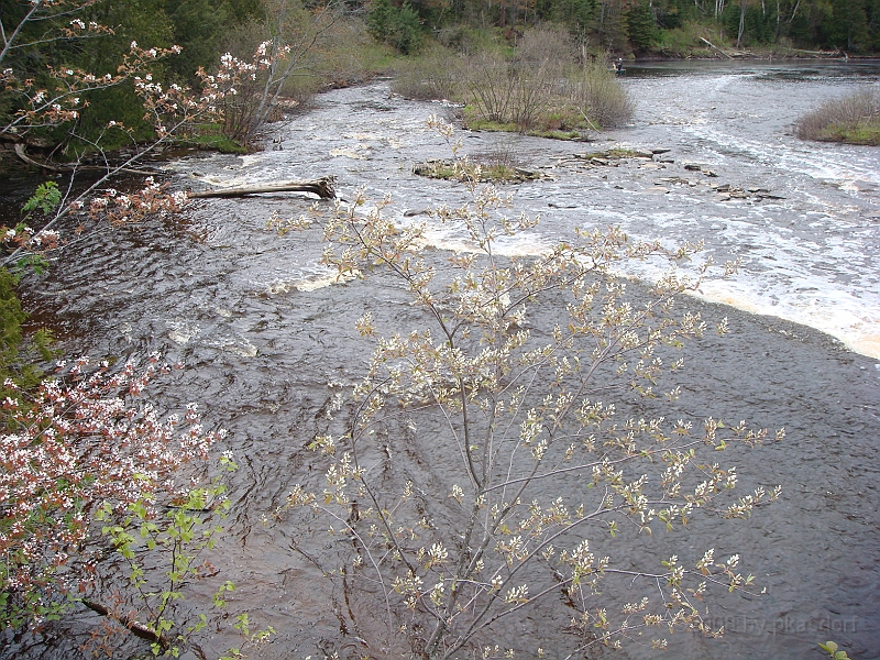 264 Memorial Day [2008 May 23].JPG - Scenes from Tahquanemon Falls in the Michigan Upper Peninsula.